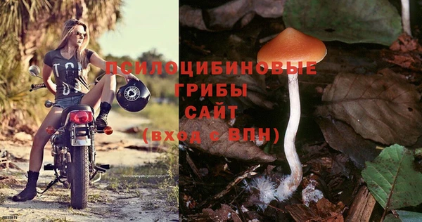 спайс Баксан