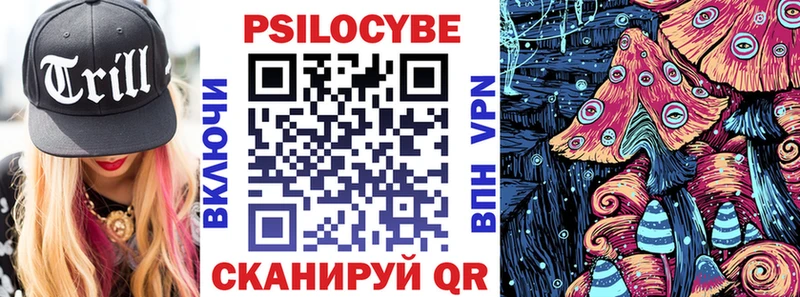 Псилоцибиновые грибы Psilocybe Купить где Вуктыл